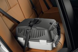 Провоз животных авиакомпания Победа